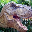 Win Discover The Dinosaurs Tickets