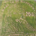 Somebody Made an Amazing Taylor Swift Corn Maze [VIDEO]