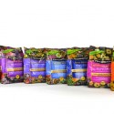 Win a $100 Gift Card to Lowe’s Thanks to Pennington Seed