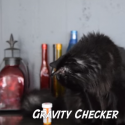 The Many Jobs of Your Cat [VIDEO]