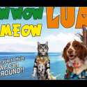 Foster Pet Outreach’s Pawpurrazzi [DETAILS]