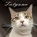 Pet of the Week – Tatyana